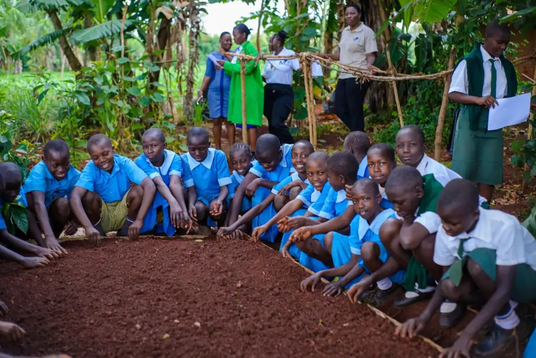 Kinder einer Partnerschule der Young Earth Guardians knien um ein Gartenbeet in Siaya County
