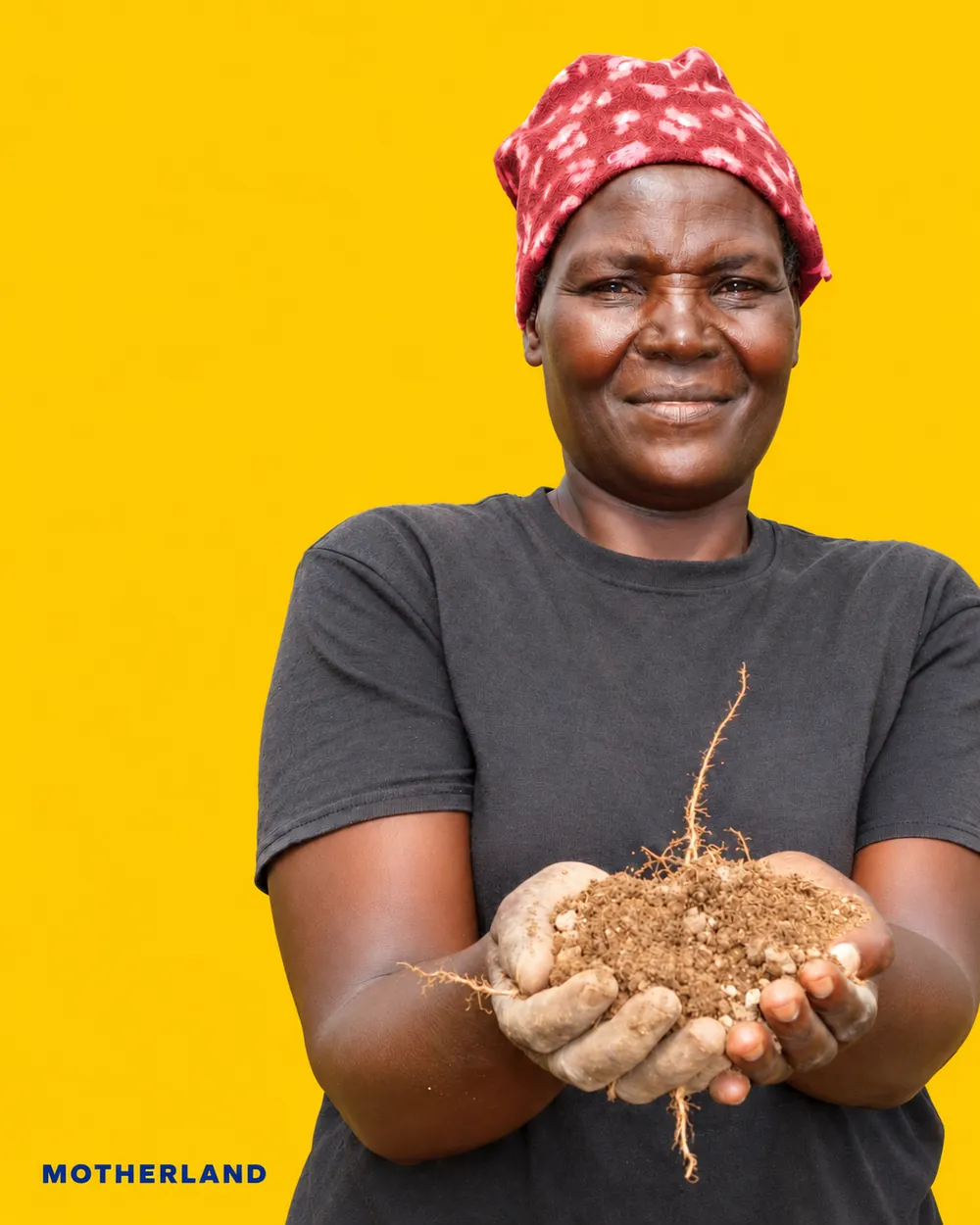 A farmer in a red headscarf holding soil with roots in both hands, on yellow