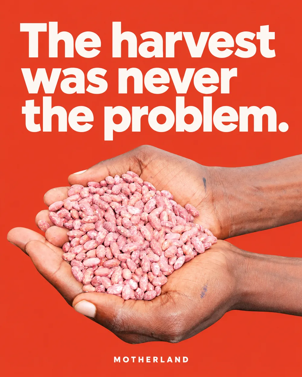 Campaign image: two hands full of beans on red, with the line The harvest was never the problem.